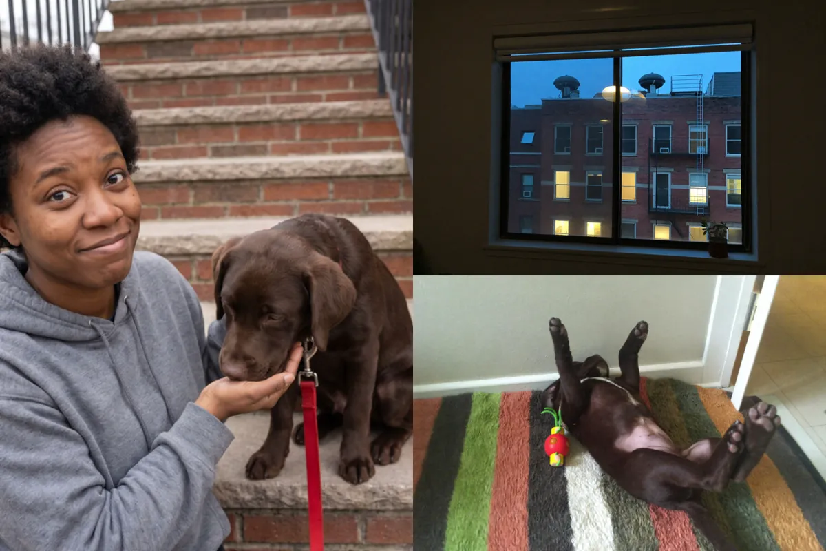 Postcard front with a woman and her puppy on a stoop on the left, a city window and the puppy asleep on a rug stacked on the right