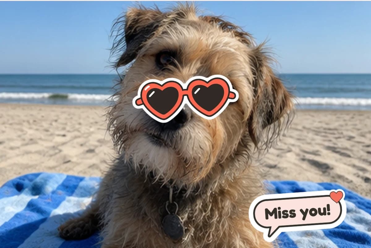 Card front with one photo of a scruffy terrier on a beach towel wearing heart sunglasses, with a Miss you! sticker