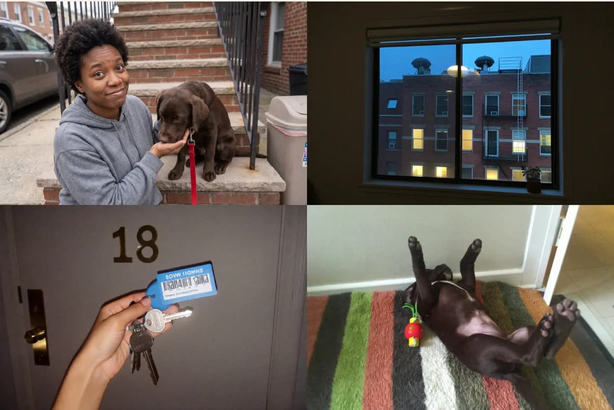 Front of a photo postcard to Mom from a first apartment: a young woman with her chocolate lab puppy on a city stoop, brick buildings at dusk through a window, a hand holding keys at door 18, and the puppy belly-up on a striped rug